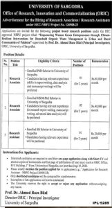University of Sargodha ORIC Jobs 2026 Advertisement