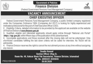 Finance Division CEO Jobs 2026 Chief Executive Officer Banner CareerHub.pk