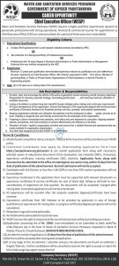 WSSP Jobs 2026 Chief Executive Officer CEO Recruitment Poster