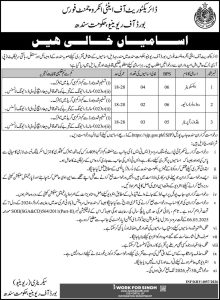 Sindh Board of Revenue Jobs 2026 Anti Encroachment Force Operator Vacancies
