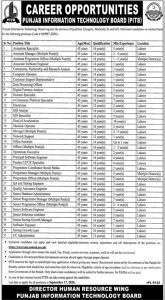 PITB Jobs 2026 Punjab Information Technology Board Apply Online Punjab Job Portal