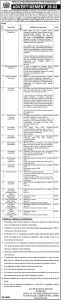 Ombudsperson Punjab Jobs 2026 Mohtasib Multiple Vacancies