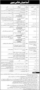 Public Sector Organization Rawalpindi Jobs 2026 PO Box 368 Vacancies