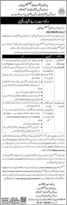 Sindh Social Protection Authority Jobs 2026 Consultant Vacancy Poster