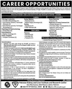 PKLI Jobs 2026 Pakistan Kidney and Liver Institute Lahore Poster