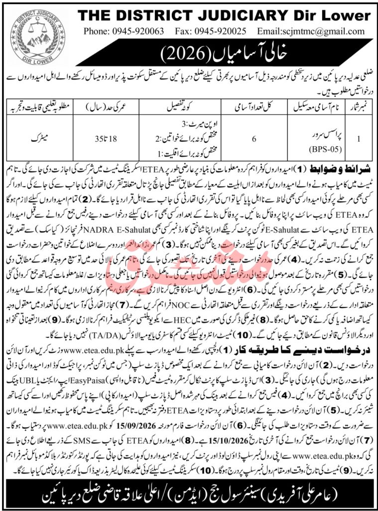 District Judiciary Dir Lower Jobs 2026 Process Server Vacancies Advertisement